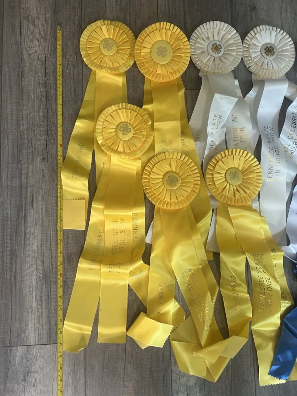 Show Ribbons 4-H Club Rosettes Craft Equestrian Tennessee Shelbyville Lot Of 19 - Picture 14 of 16
